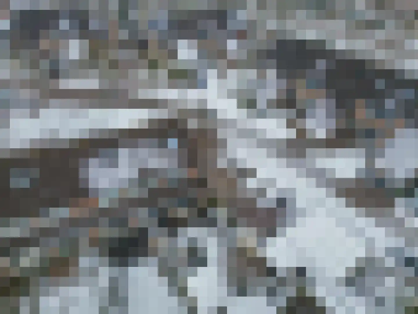Boekweitveld 10 Assen thumbnail 39