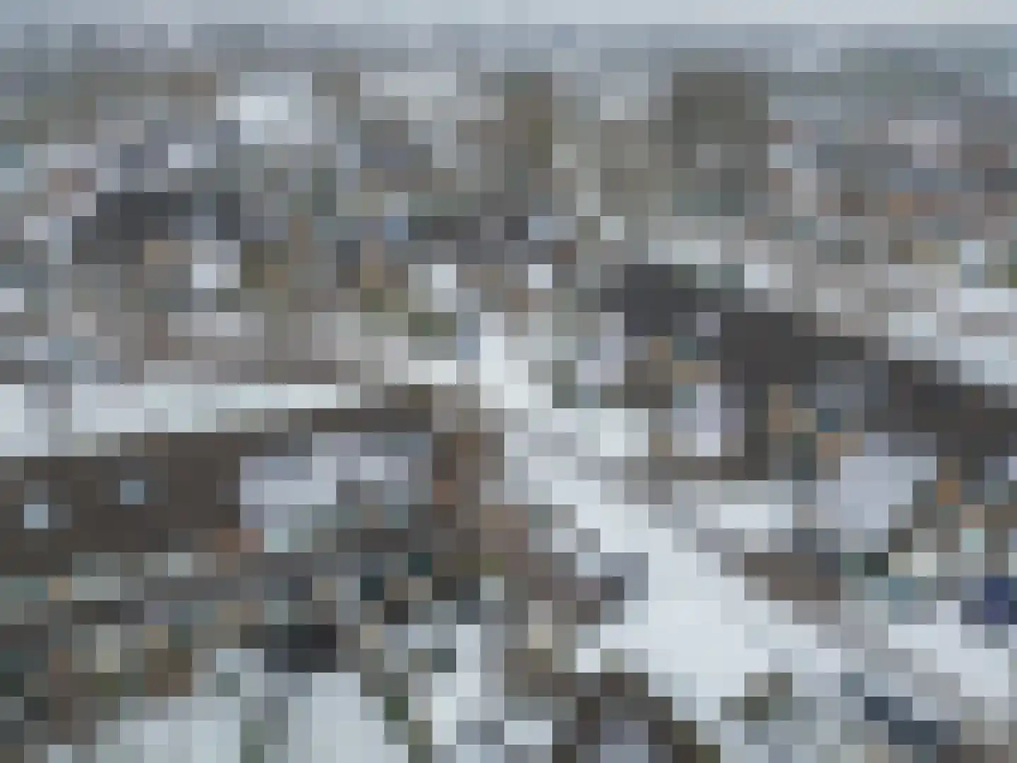 Boekweitveld 10 Assen thumbnail 40