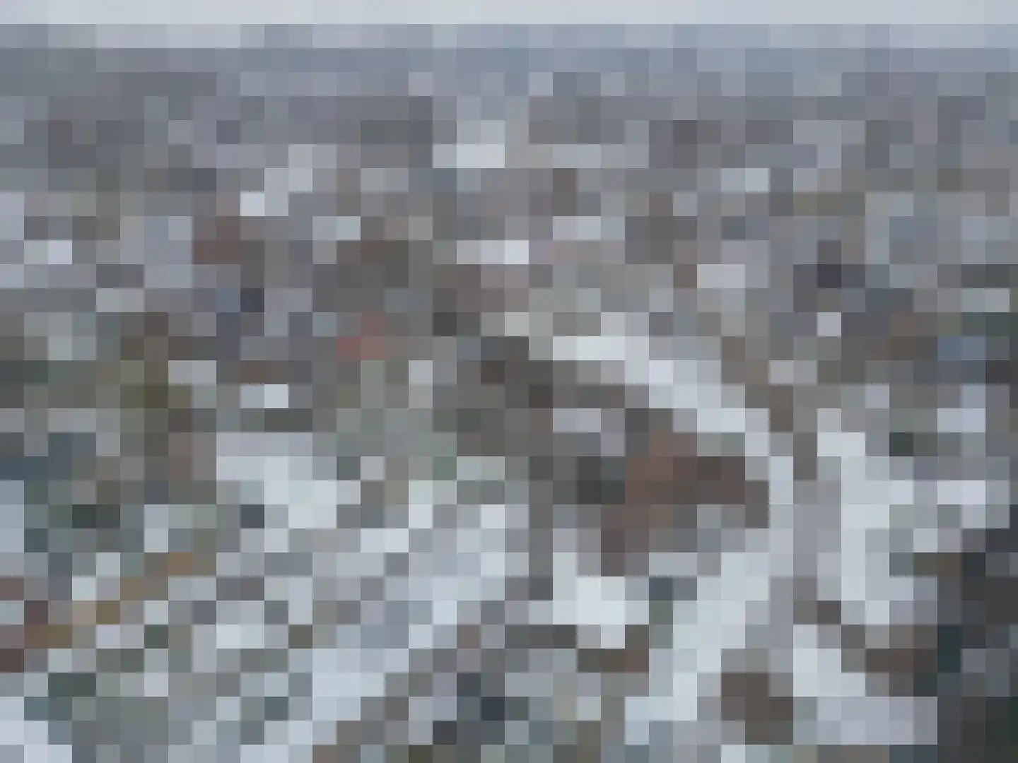 Boekweitveld 10 Assen thumbnail 43