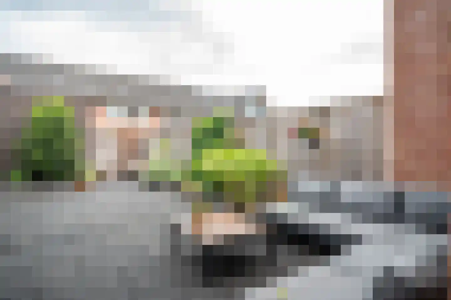 Boekweitveld 10 Staphorst thumbnail 26