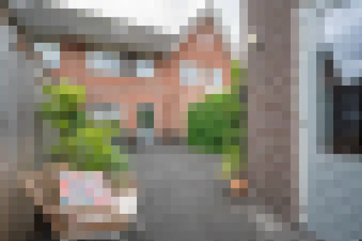 Boekweitveld 10 Staphorst thumbnail 28