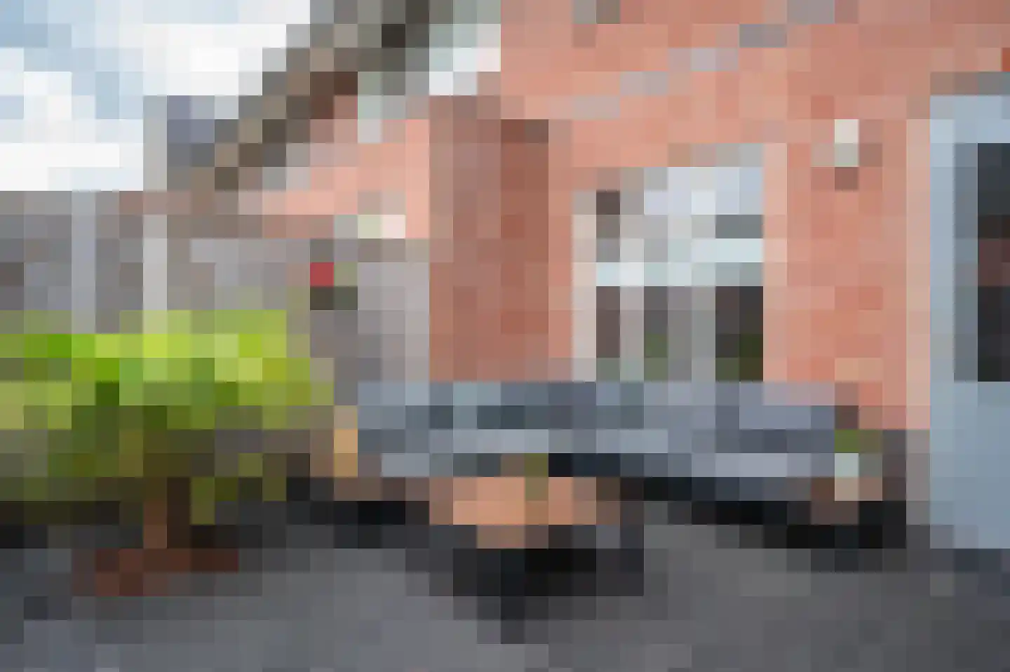 Boekweitveld 10 Staphorst thumbnail 30