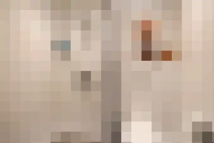 Boekweitveld 11 Hoevelaken thumbnail 14