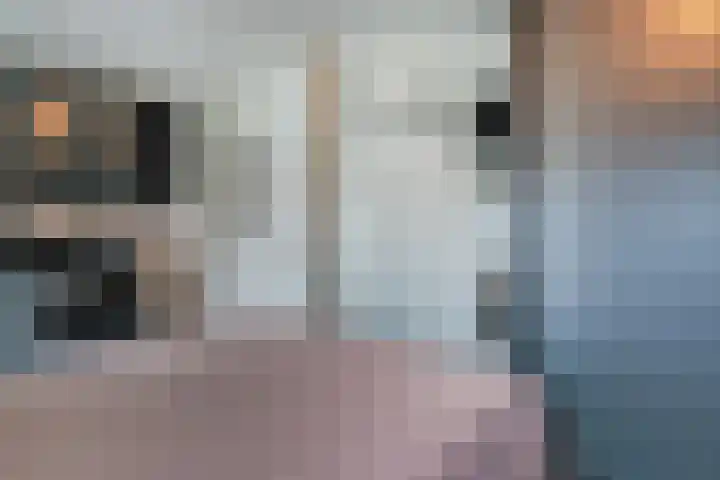 Boekweitveld 11 Hoevelaken thumbnail 19