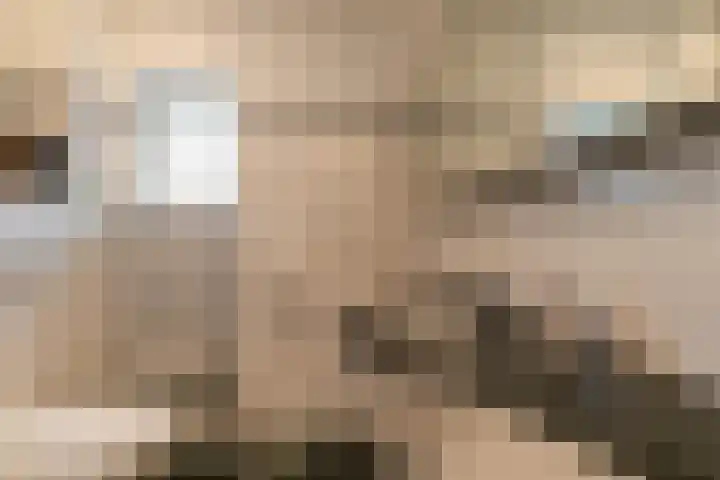 Boekweitveld 11 Hoevelaken thumbnail 22