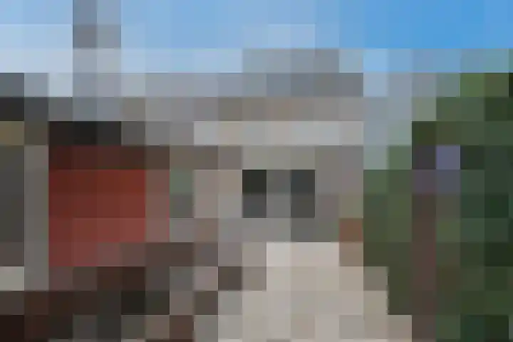 Boekweitveld 11 Hoevelaken thumbnail 34