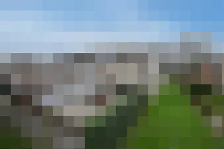 Boekweitveld 11 Hoevelaken thumbnail 35