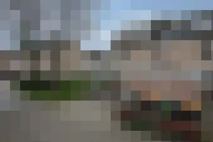 Boekweitveld 11 Hoevelaken thumbnail 36