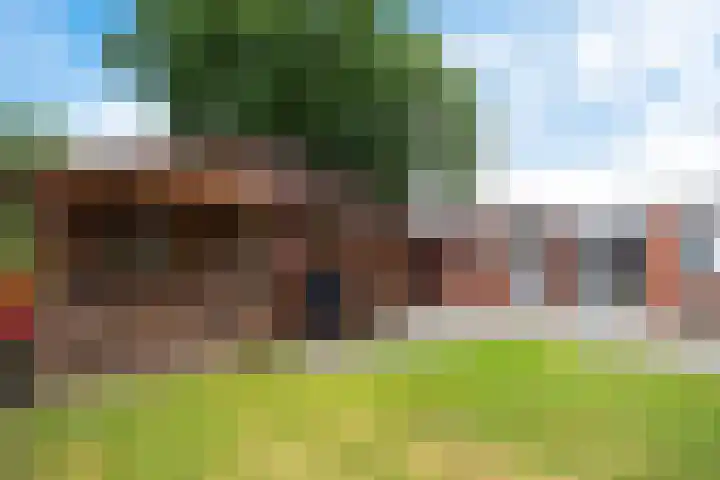 Boekweitveld 134 Nieuw-Dordrecht thumbnail 31