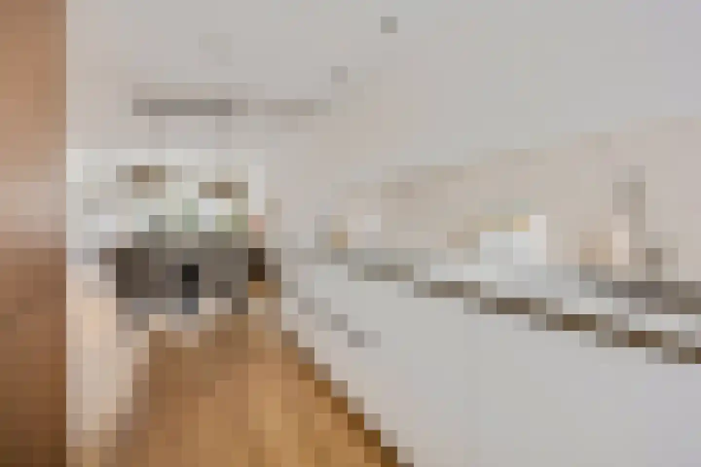 Boekweitveld 16 Hoevelaken thumbnail 23