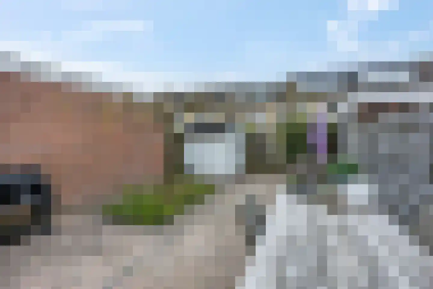Boekweitveld 16 Hoevelaken thumbnail 42