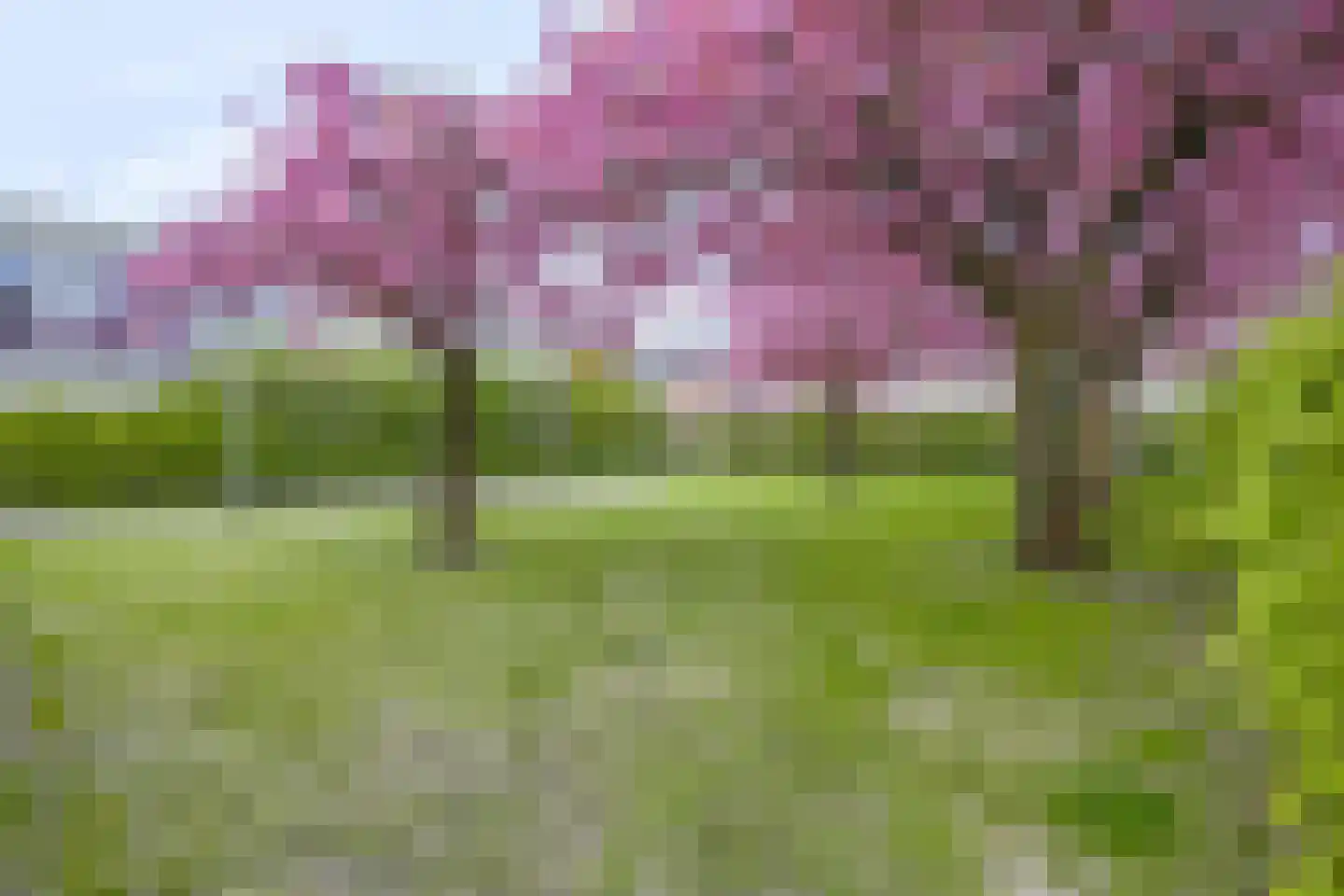 Boekweitveld 16 Hoevelaken thumbnail 48
