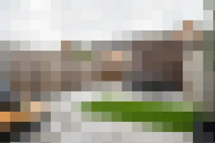 Boekweitveld 16 Staphorst thumbnail 25