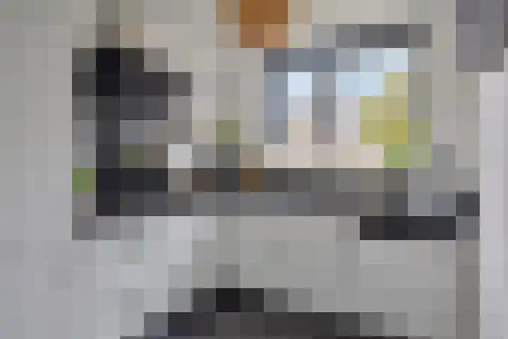Boekweitveld 17 's-Hertogenbosch thumbnail 16