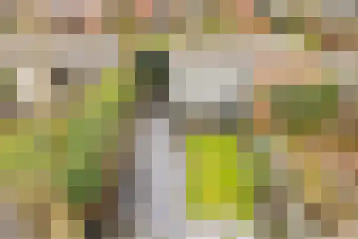 Boekweitveld 17 's-Hertogenbosch thumbnail 30