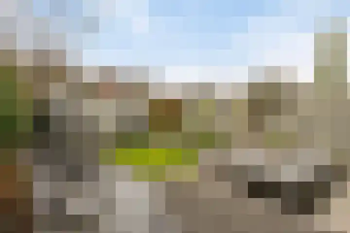 Boekweitveld 17 's-Hertogenbosch thumbnail 31