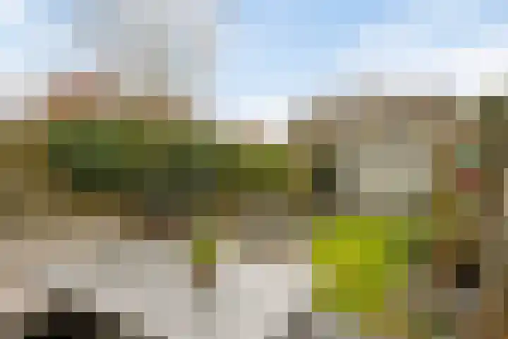 Boekweitveld 17 's-Hertogenbosch thumbnail 32