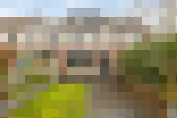 Boekweitveld 17 's-Hertogenbosch thumbnail 33