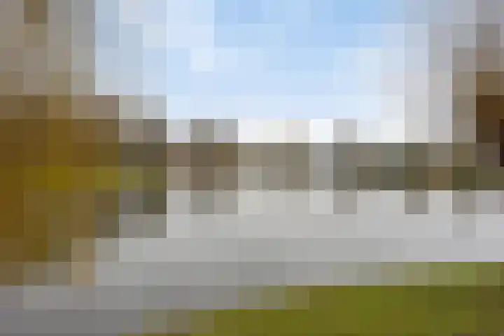 Boekweitveld 17 's-Hertogenbosch thumbnail 35