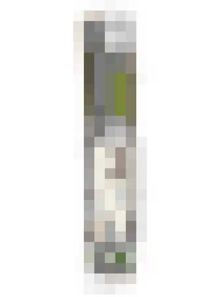 Boekweitveld 17 's-Hertogenbosch thumbnail 36