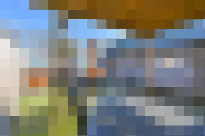 Boekweitveld 18 Nieuw-Dordrecht thumbnail 52