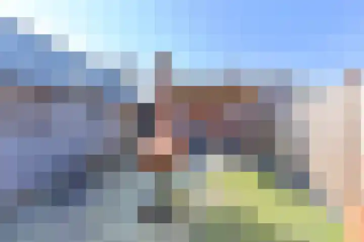 Boekweitveld 18 Nieuw-Dordrecht thumbnail 53