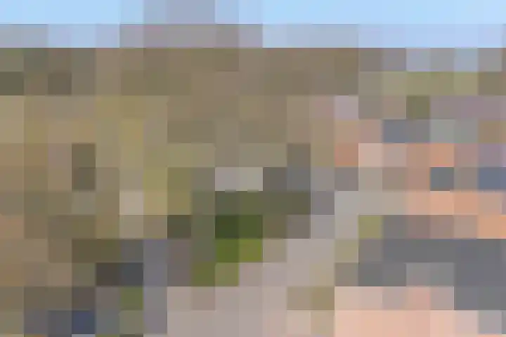 Boekweitveld 18 Nieuw-Dordrecht thumbnail 64