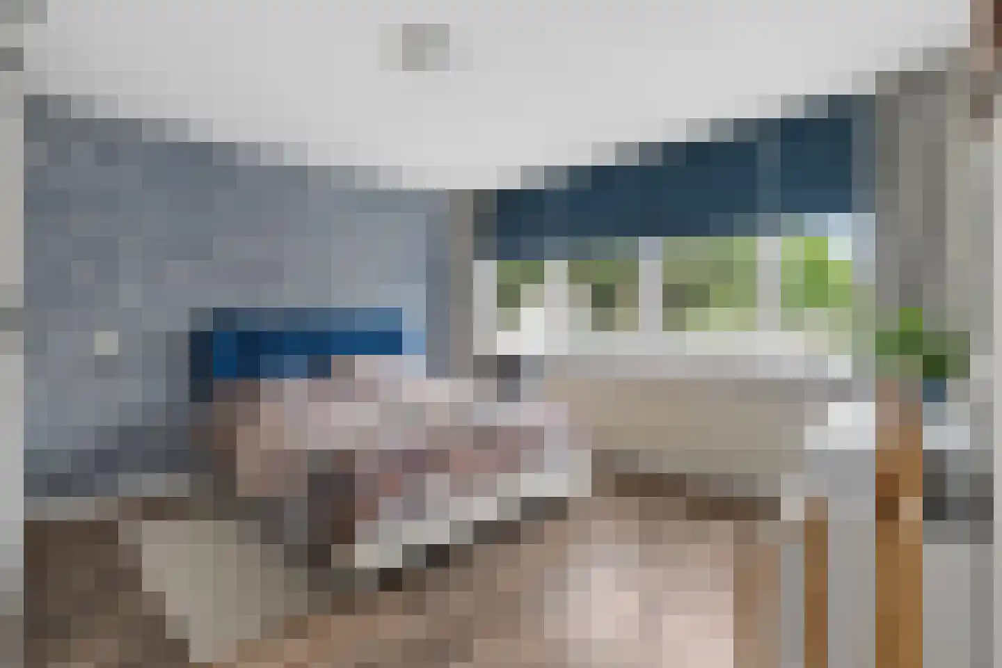 Boekweitveld 2 Veenendaal thumbnail 18