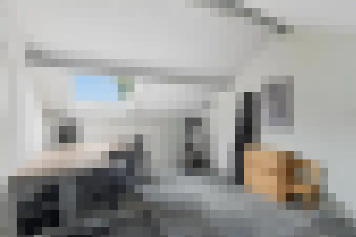 Boekweitveld 2 Veenendaal thumbnail 25