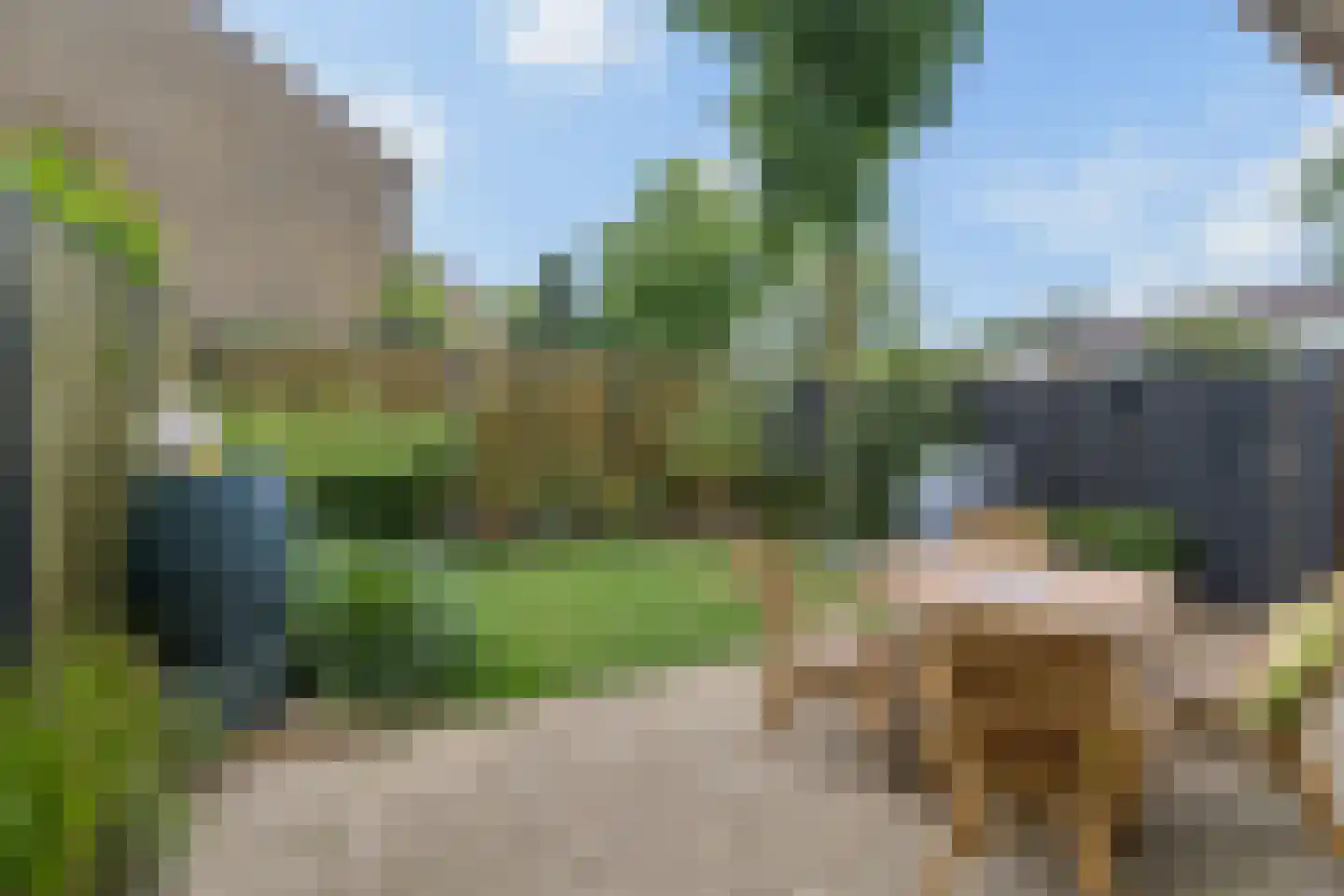 Boekweitveld 2 Veenendaal thumbnail 26
