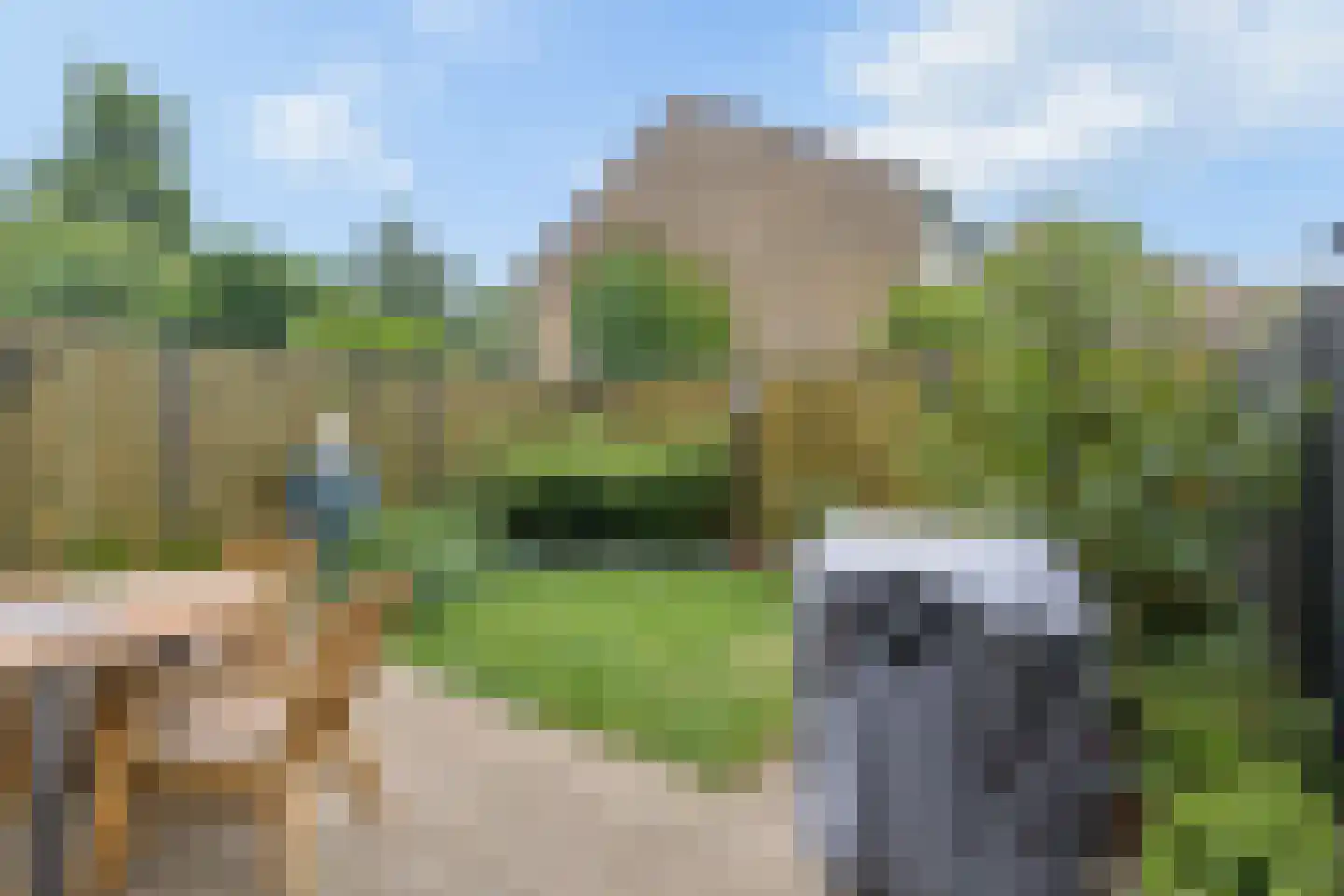 Boekweitveld 2 Veenendaal thumbnail 28