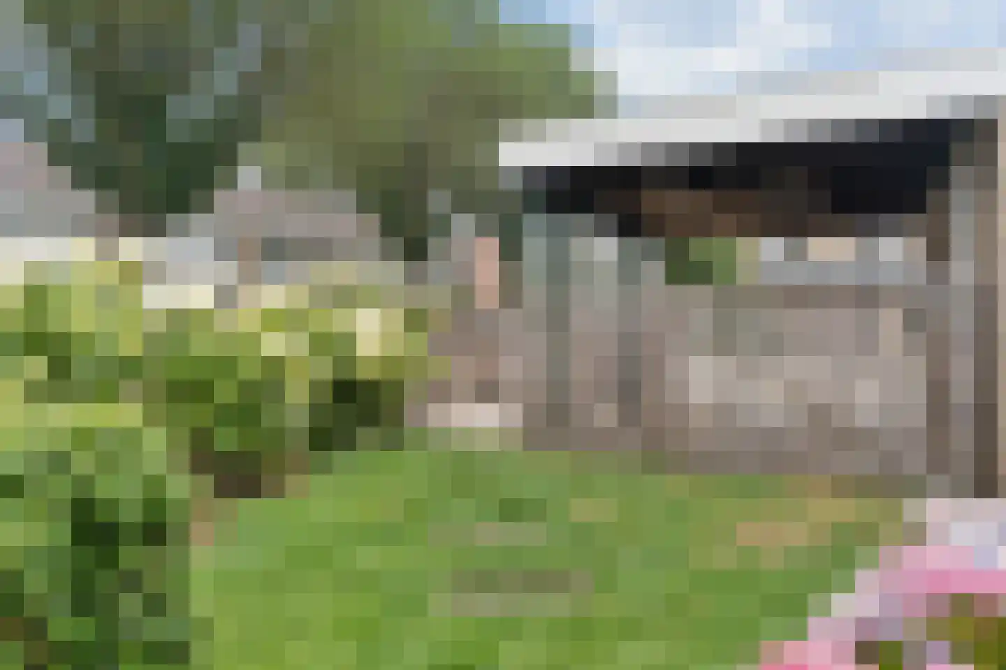 Boekweitveld 2 Veenendaal thumbnail 30