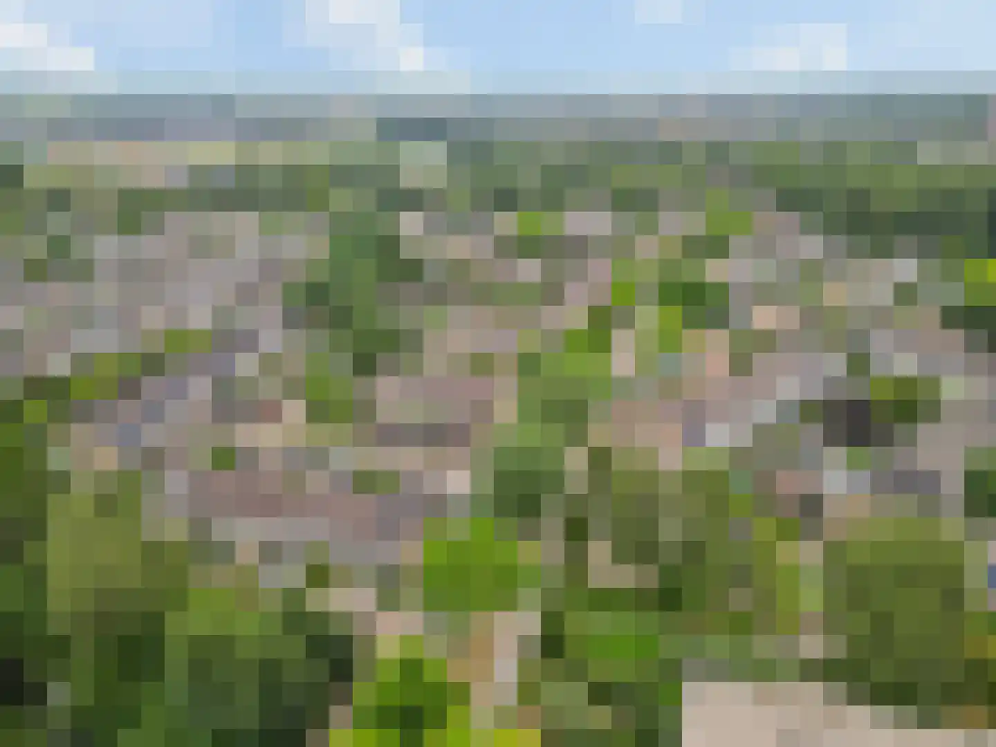 Boekweitveld 2 Veenendaal thumbnail 35