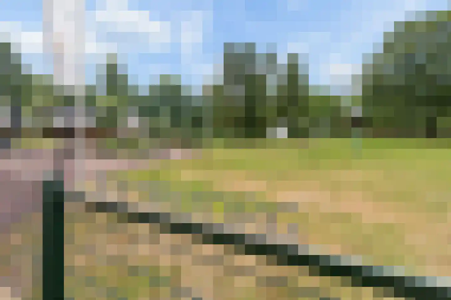 Boekweitveld 2 Veenendaal thumbnail 37