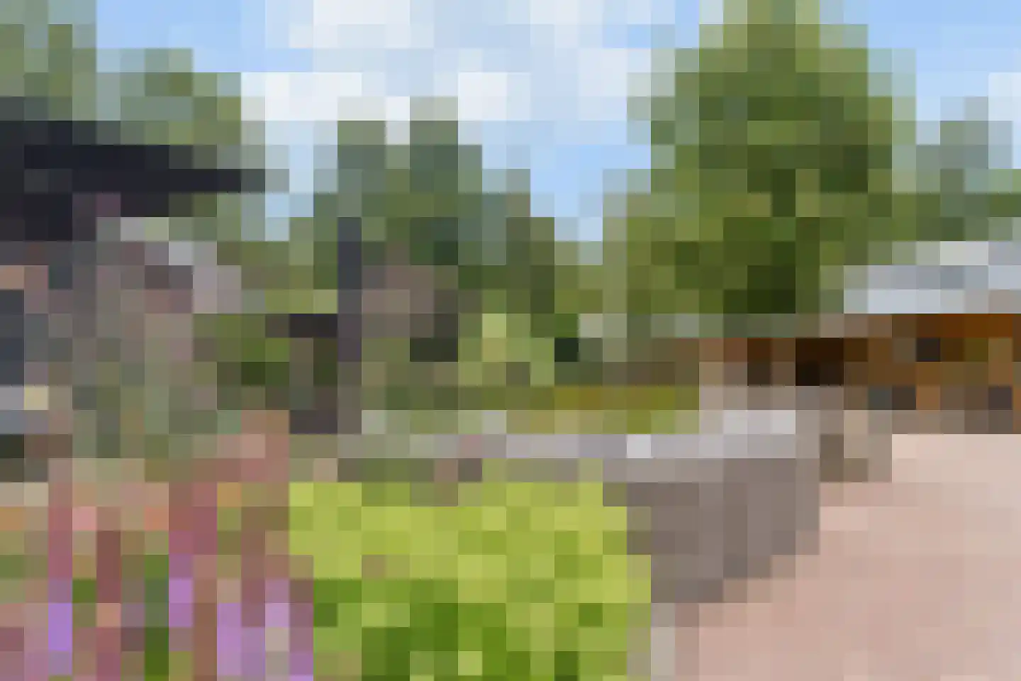 Boekweitveld 2 Veenendaal thumbnail 38