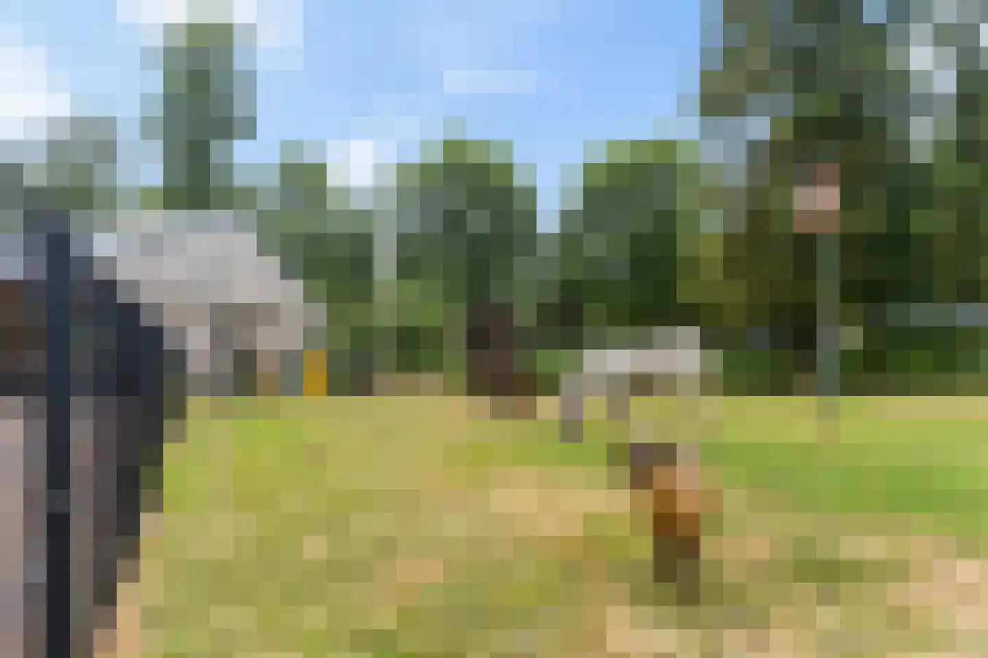 Boekweitveld 2 Veenendaal thumbnail 39