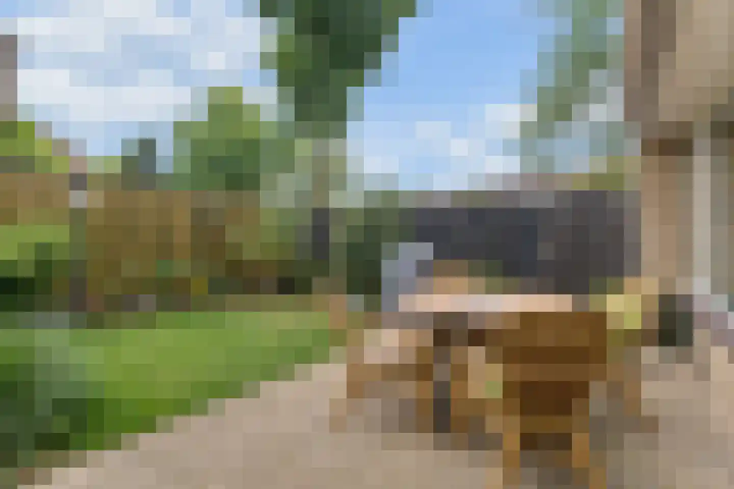 Boekweitveld 2 Veenendaal thumbnail 4