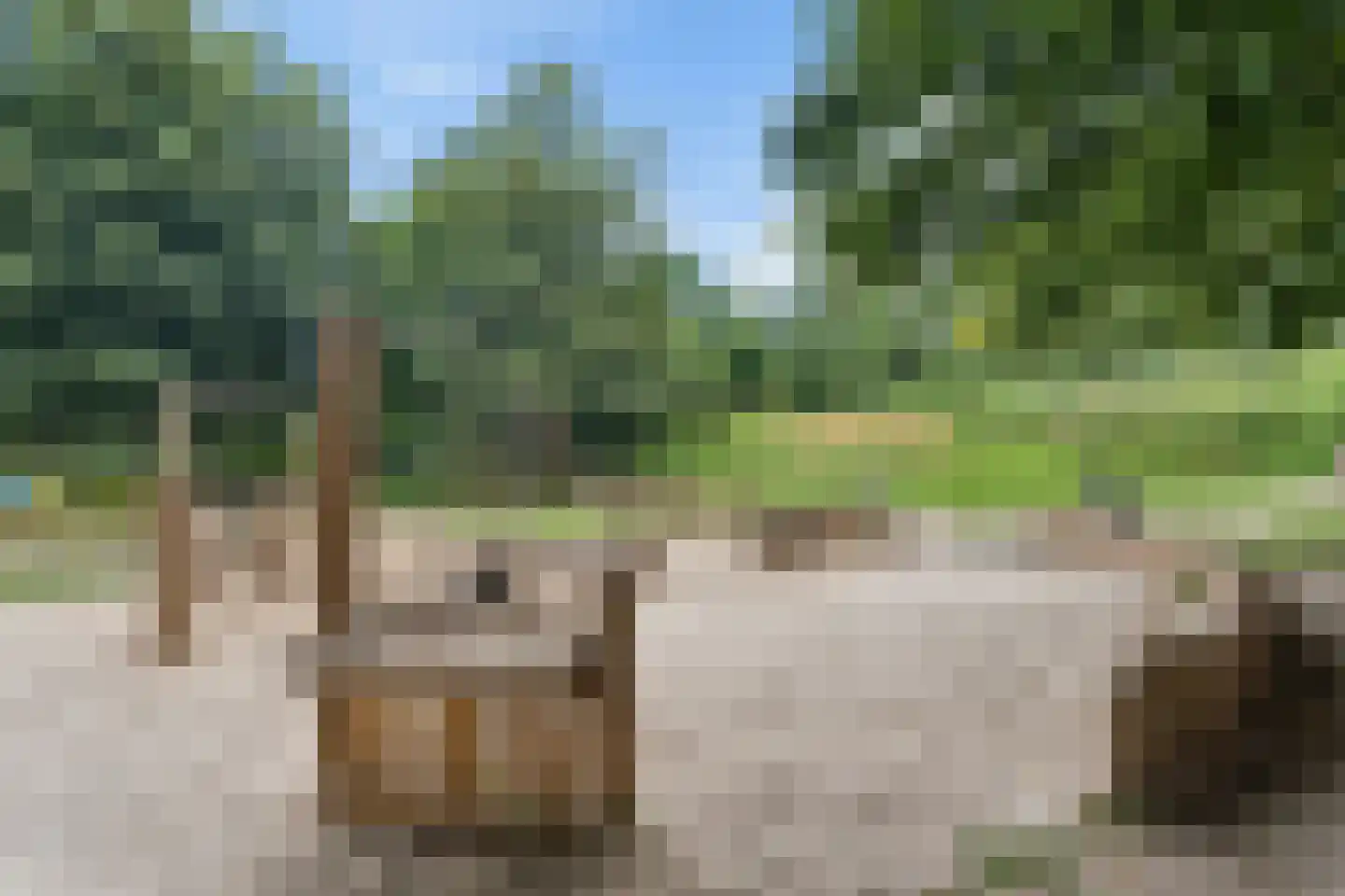 Boekweitveld 2 Veenendaal thumbnail 40