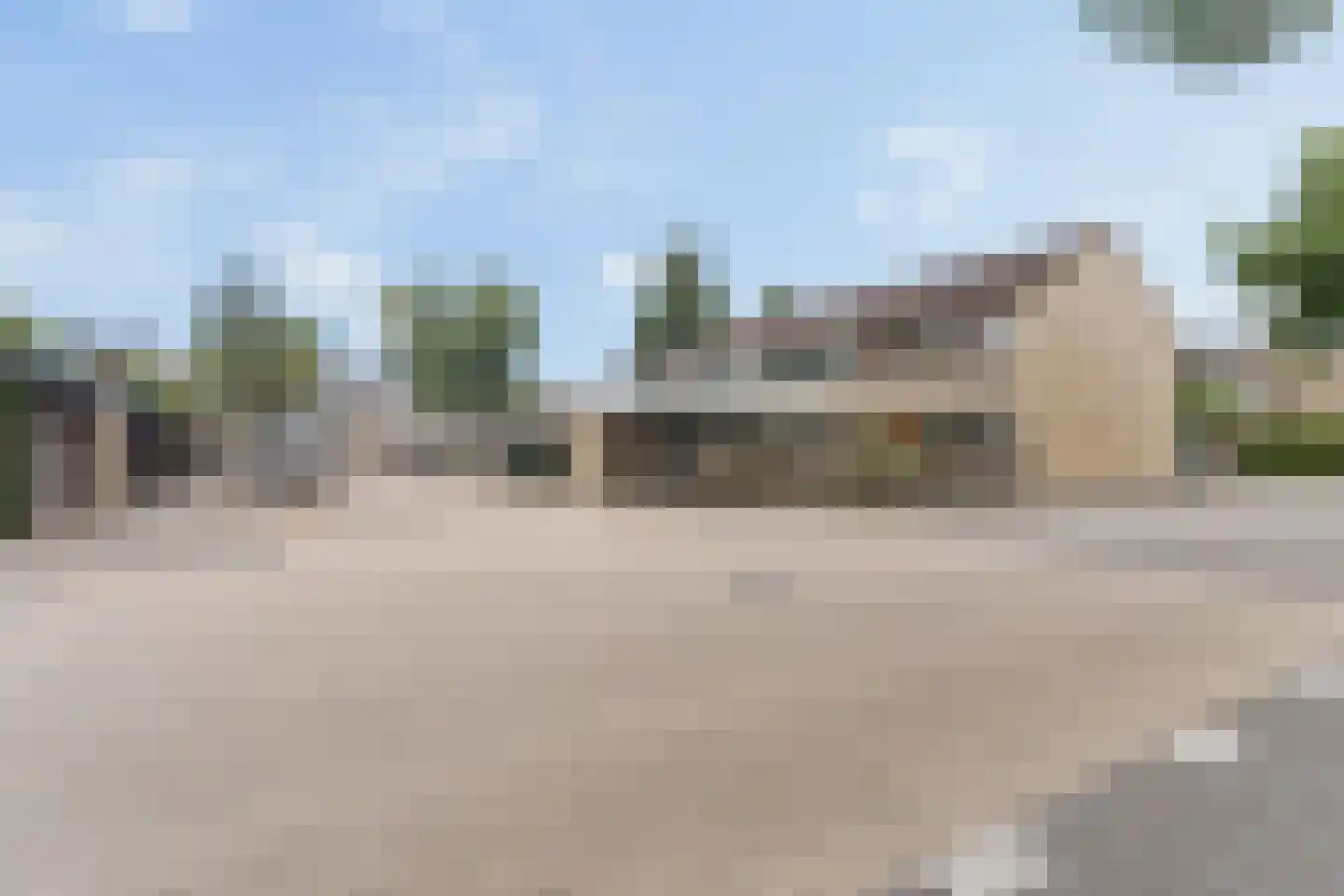 Boekweitveld 2 Veenendaal thumbnail 6