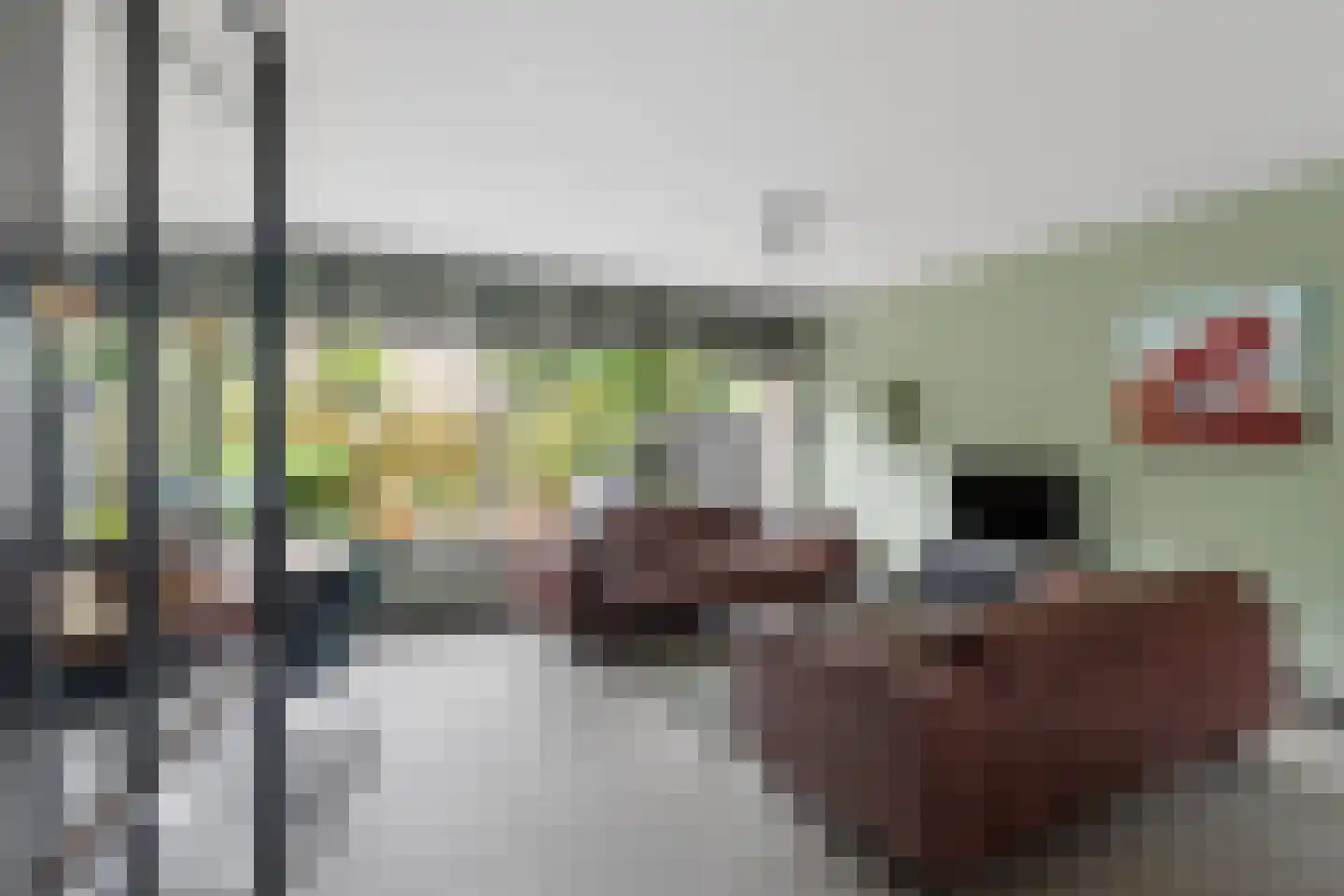 Boekweitveld 2 Veenendaal thumbnail 9