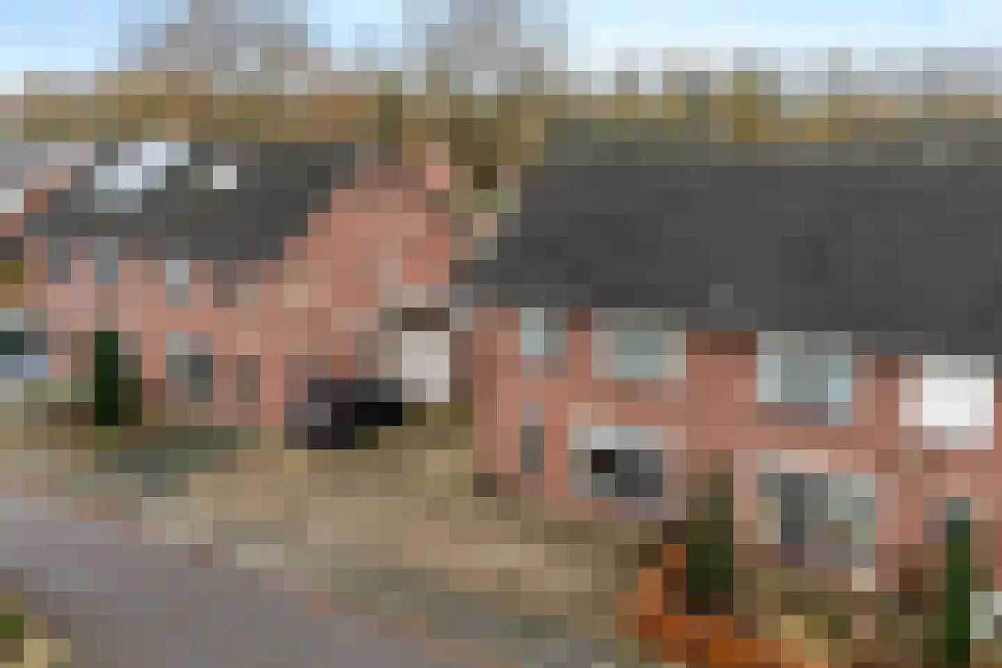 Boekweitveld 25 Nieuw-Dordrecht thumbnail 48