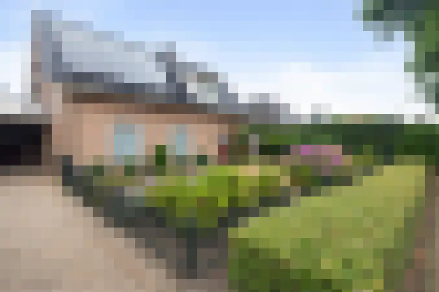 Boekweitveld 3 Heeswijk-Dinther thumbnail 37