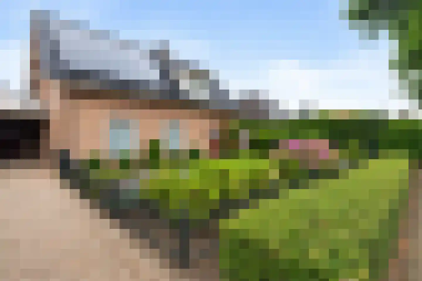 Boekweitveld 3 Heeswijk-Dinther thumbnail 4