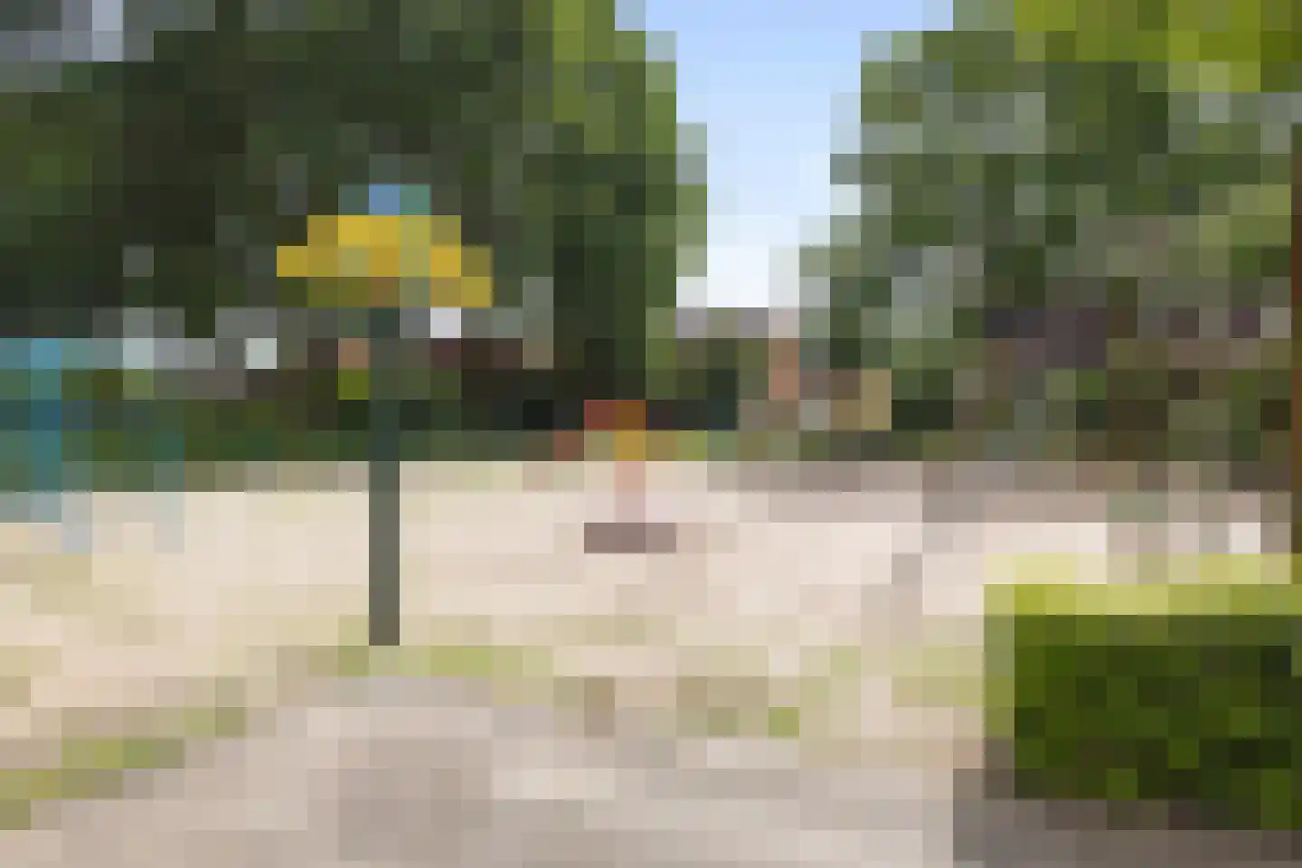 Boekweitveld 3 Heeswijk-Dinther thumbnail 41