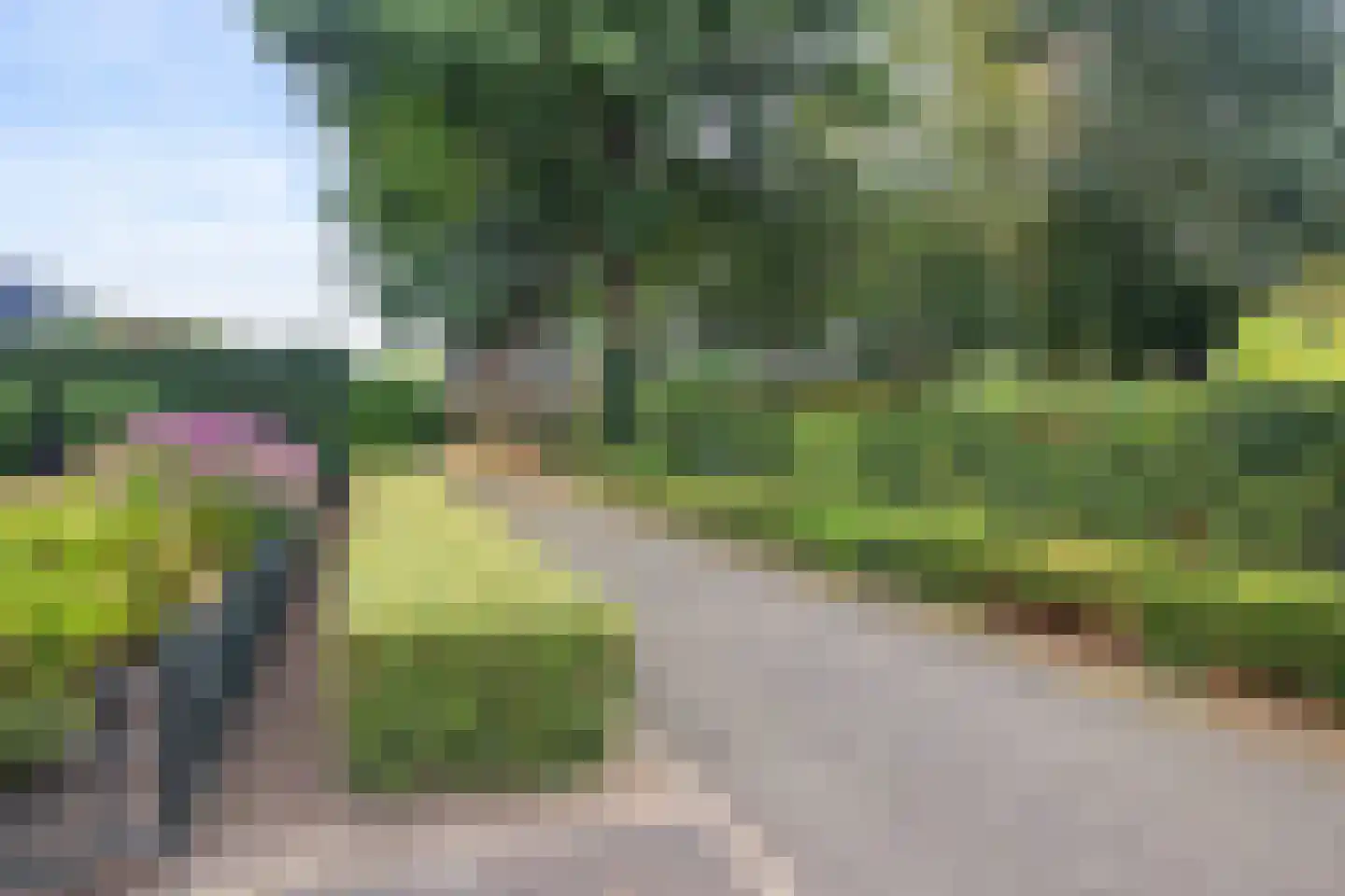 Boekweitveld 3 Heeswijk-Dinther thumbnail 42