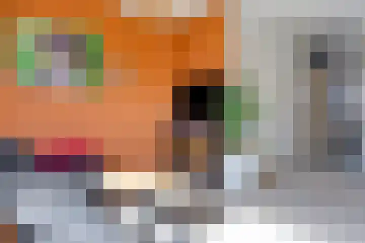 Boekweitveld 4 Bergschenhoek thumbnail 10