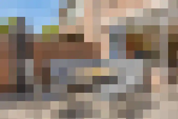 Boekweitveld 4 Bergschenhoek thumbnail 31