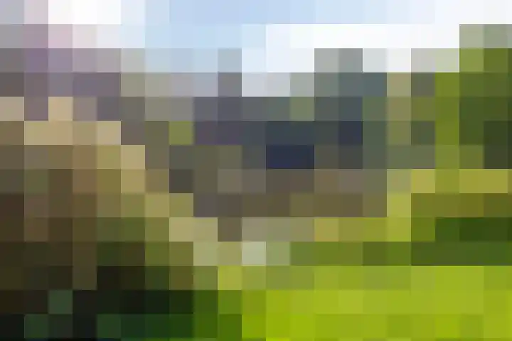 Boekweitveld 4 Bergschenhoek thumbnail 34