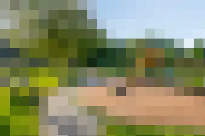 Boekweitveld 4 Bergschenhoek thumbnail 35