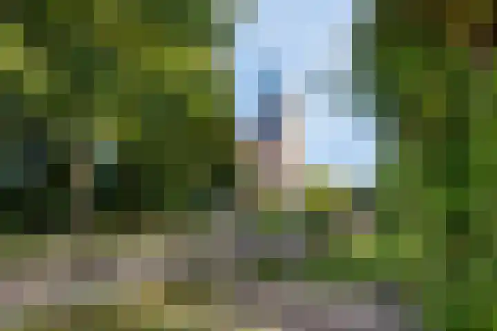 Boekweitveld 4 Bergschenhoek thumbnail 36